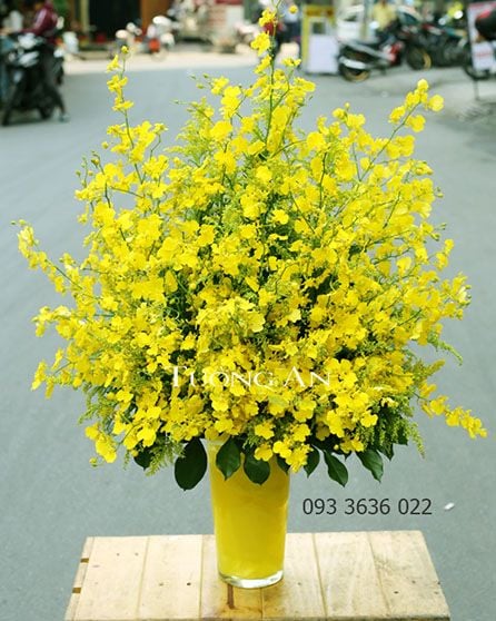 Một số sản phẩm ở Gò Vấp