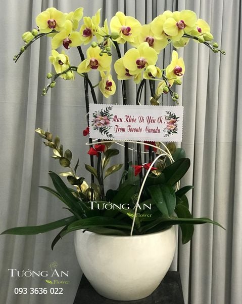 Bình hoa 2 tầng