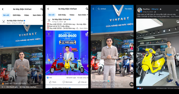 Case study - Vinfast