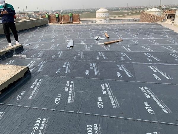 Hình ảnh bài viết