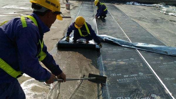 Hình ảnh bài viết