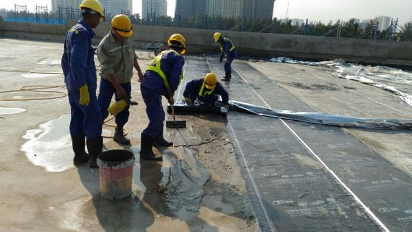 Hình ảnh bài viết