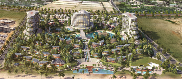 Hình ảnh bài viết