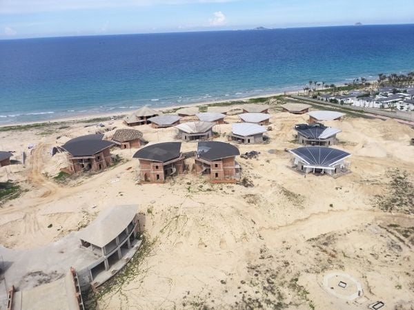 Hình ảnh bài viết