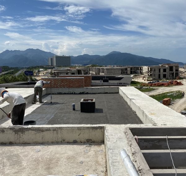 Hình ảnh bài viết