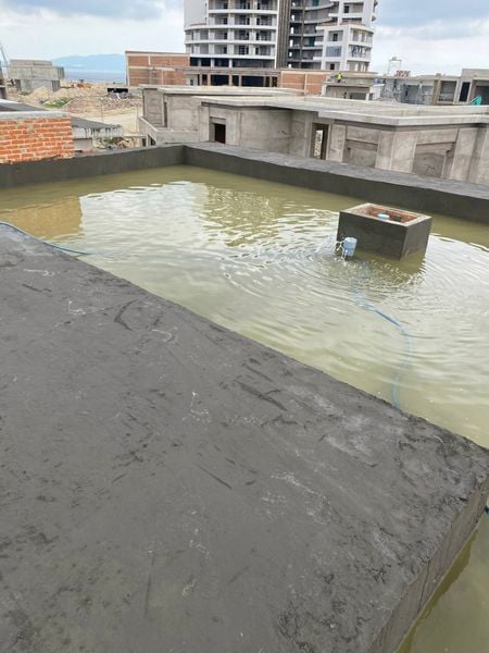 Hình ảnh bài viết