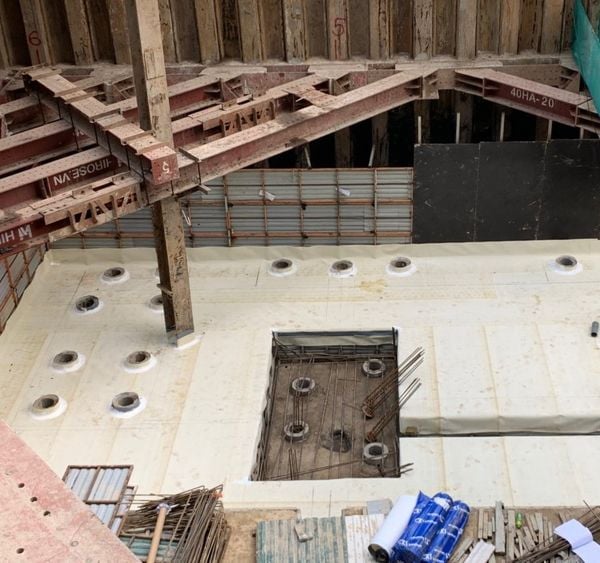 Hình ảnh bài viết