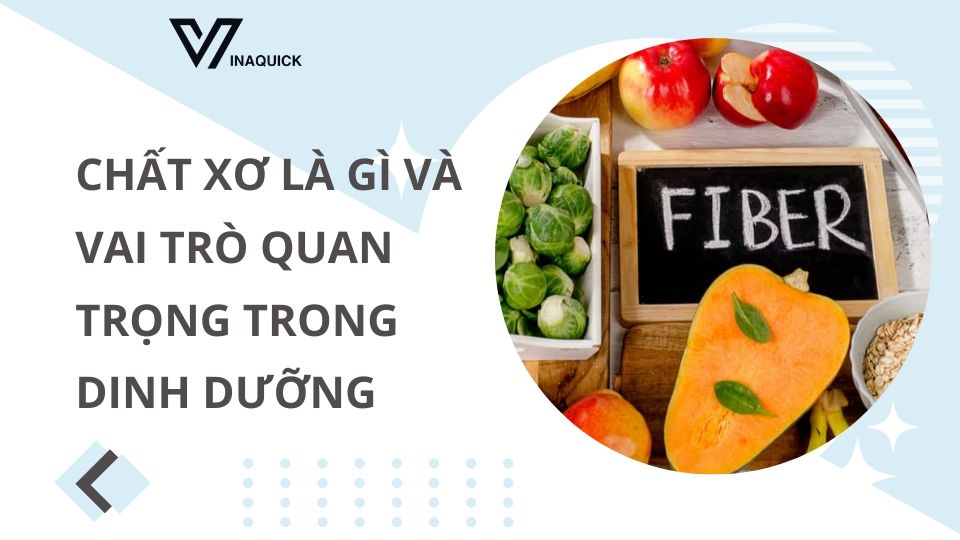 Chất xơ là gì và vai trò quan trọng trong dinh dưỡng
