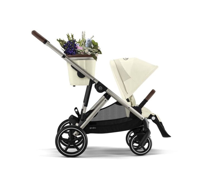 Double Strollers