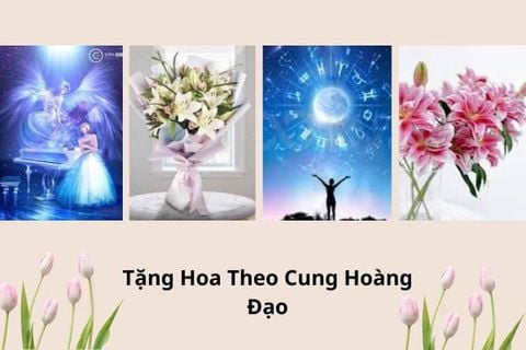 Tặng Hoa Sinh Nhật Theo Cung Hoàng Đạo – Món Quà Độc Đáo, Ý Nghĩa