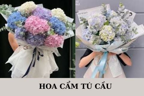 Đặt Hoa Cẩm Tú Cầu Ở Đâu Vừa Đẹp Vừa Đúng Ý Tặng Người Yêu?