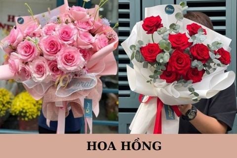 Vì Sao Hoa Hồng Luôn Là Loài Hoa Được Yêu Thích Nhất Mọi Thời Đại?