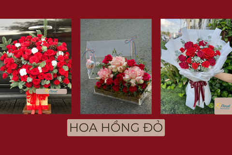 Hoa hồng đỏ – Ngôn ngữ lãng mạn của những trái tim đang yêu