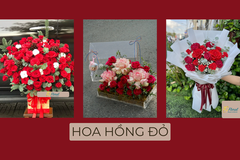 Hoa hồng đỏ – Ngôn ngữ lãng mạn của những trái tim đang yêu