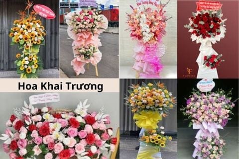 Hoa Khai Trương Là Gì? Chuẩn – Đẹp – Mang Ý Nghĩa May Mắn