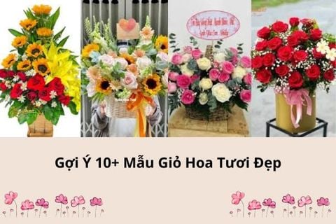 Gợi Ý 10+ Mẫu Giỏ Hoa Tươi Đẹp, Sang Trọng Giá Chỉ Từ 300K