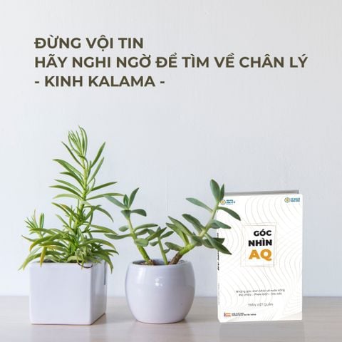 Góc Nhìn AQ - Thầy Trần Việt Quân
