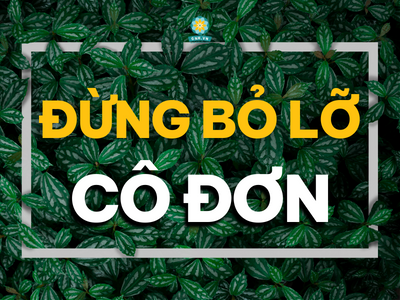 ĐỪNG BỎ LỠ CÔ ĐƠN