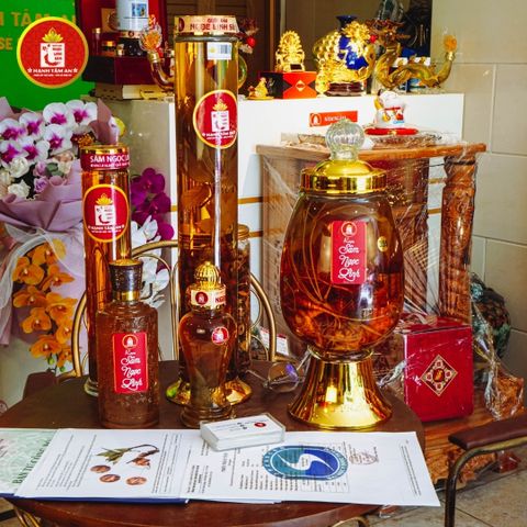 💪 Tác Dụng Nổi Bật Của Sâm Ngọc Linh Với Sức Khỏe Con Người – Dược Liệu Vàng Cho Mọi Nhà
