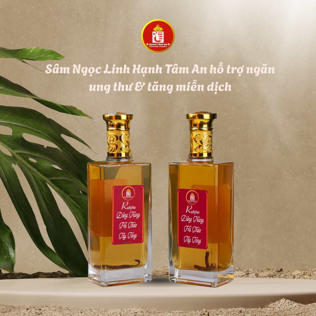 Bí quyết Sâm Ngọc Linh Hạnh Tâm An hỗ trợ ngăn ung thư & tăng miễn dịch