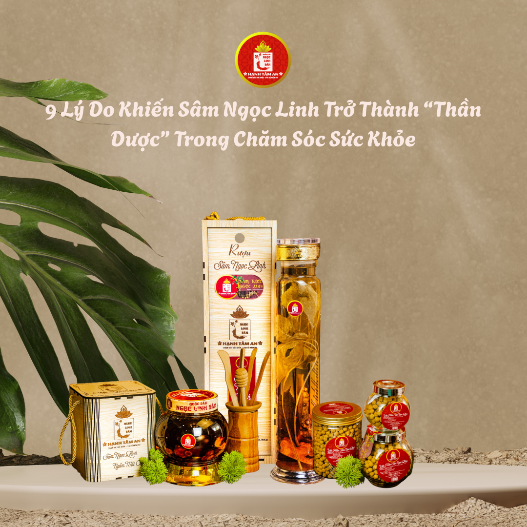 9 Lý Do Khiến Sâm Ngọc Linh Trở Thành “Thần Dược” Trong Chăm Sóc Sức Khỏe