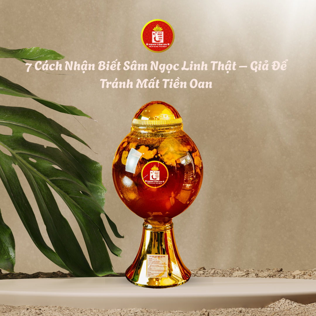 7 Cách Nhận Biết Sâm Ngọc Linh Thật – Giả Để Tránh Mất Tiền Oan