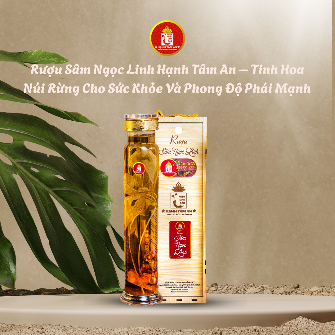 Rượu Sâm Ngọc Linh Hạnh Tâm An – Tinh Hoa Núi Rừng Cho Sức Khỏe Và Phong Độ Phái Mạnh