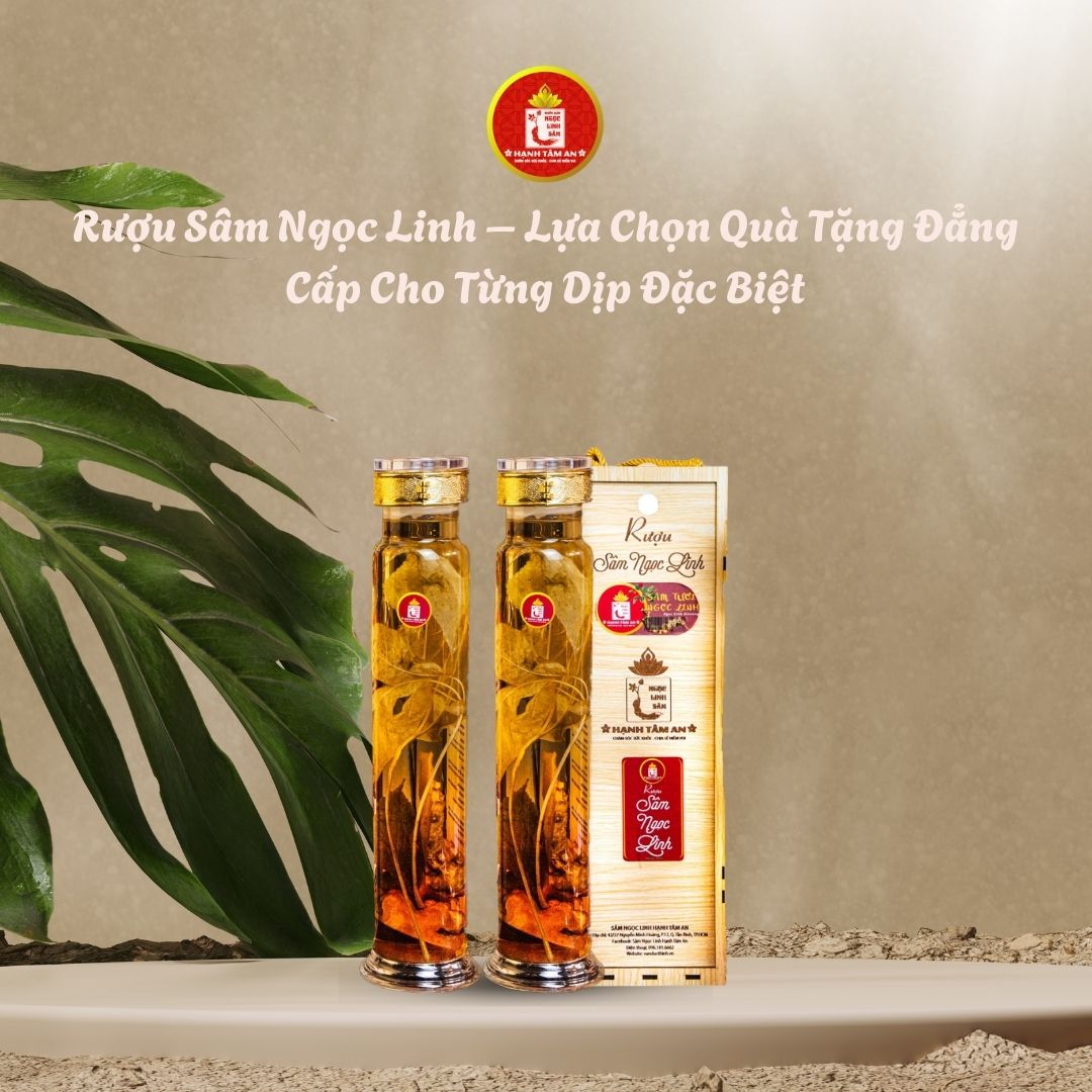 Rượu Sâm Ngọc Linh – Lựa chọn quà tặng đẳng cấp cho từng dịp đặc biệt
