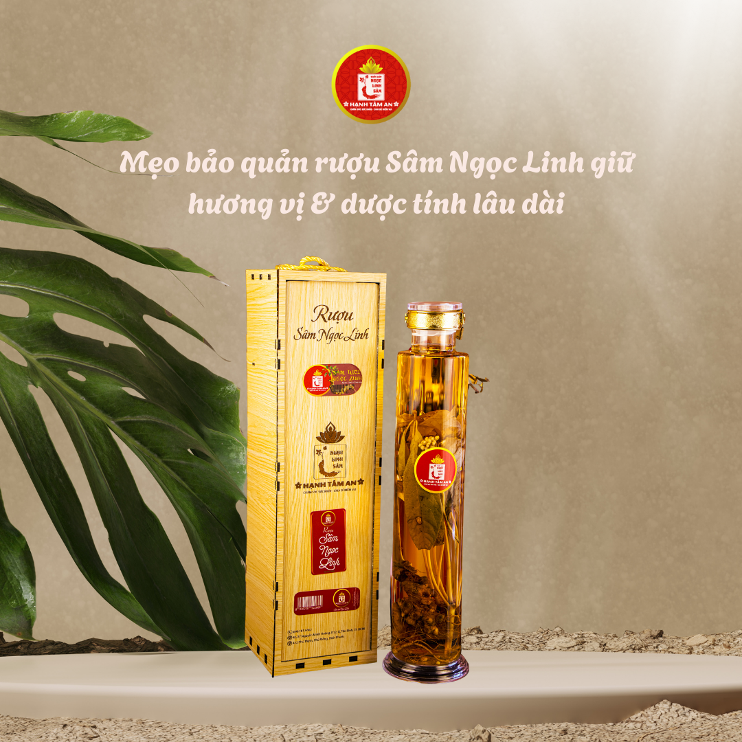 Mẹo bảo quản rượu Sâm Ngọc Linh giữ hương vị & dược tính lâu dài