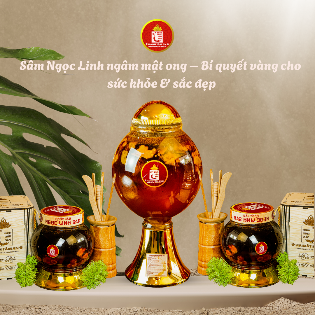 Sâm Ngọc Linh ngâm mật ong – Bí quyết vàng cho sức khỏe & sắc đẹp