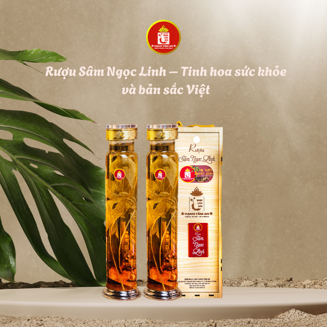 Rượu Sâm Ngọc Linh – Tinh hoa sức khỏe và bản sắc Việt