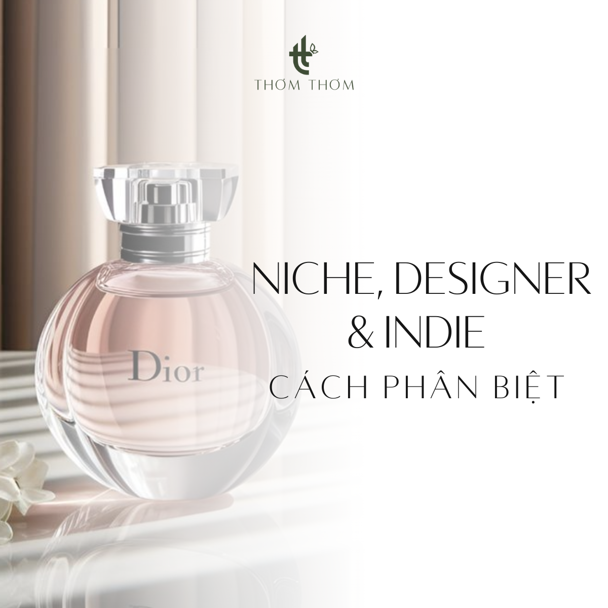 Cách phân biệt nước hoa niche, designer và indie dễ hiểu