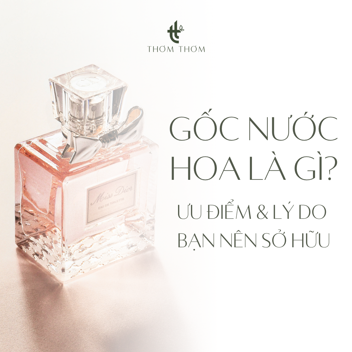 Gốc nước hoa là gì? Ưu điểm và lý do bạn nên sở hữu