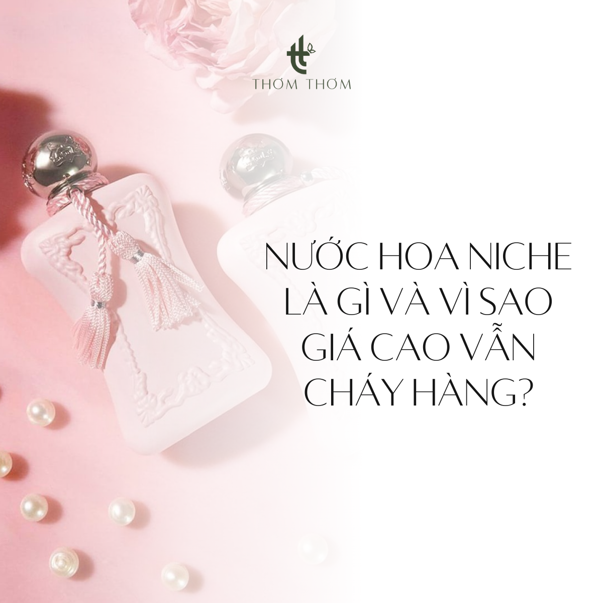Nước hoa niche là gì và vì sao giá cao vẫn cháy hàng?