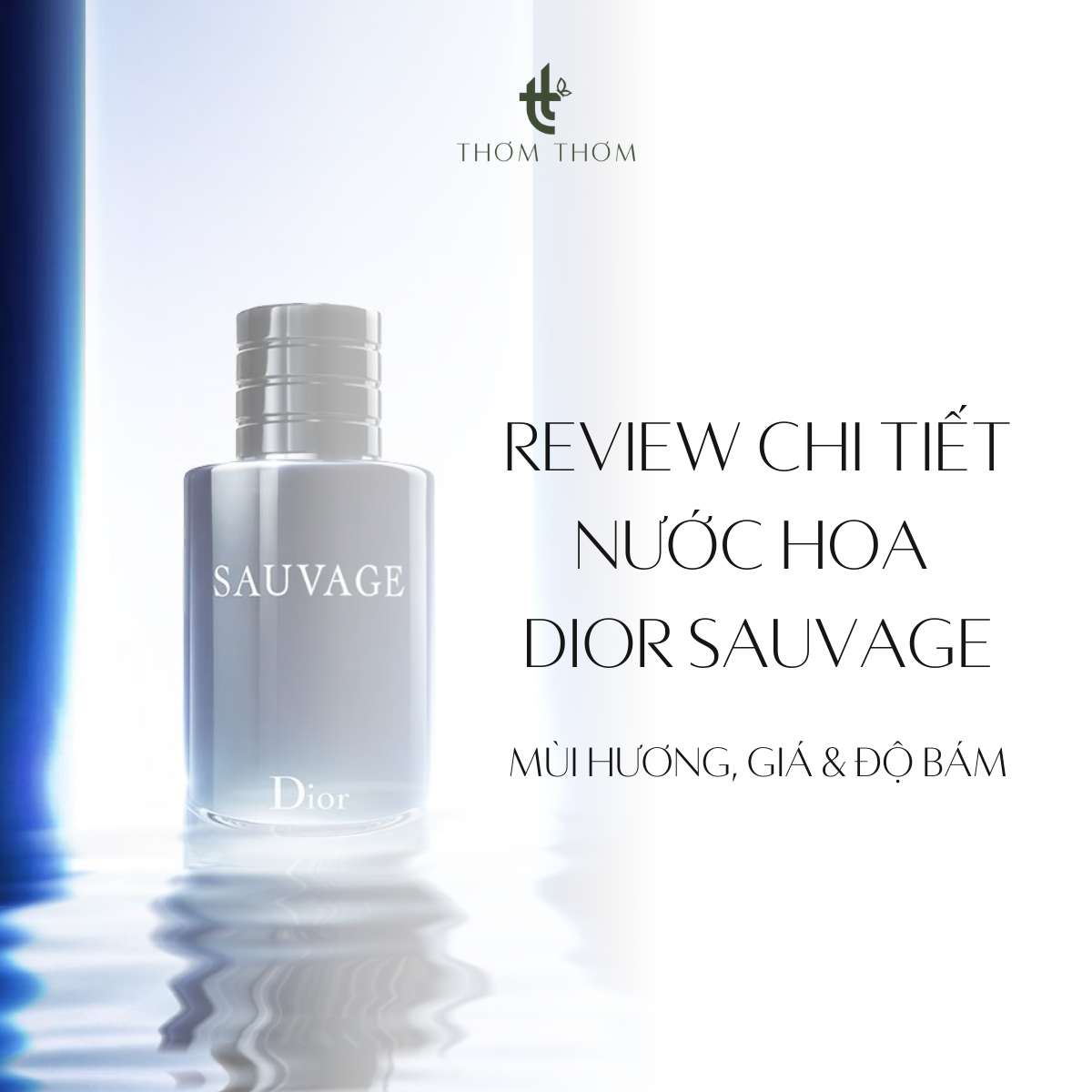 Review chi tiết nhất nước hoa Dior Sauvage: mùi hương, giá & độ bám