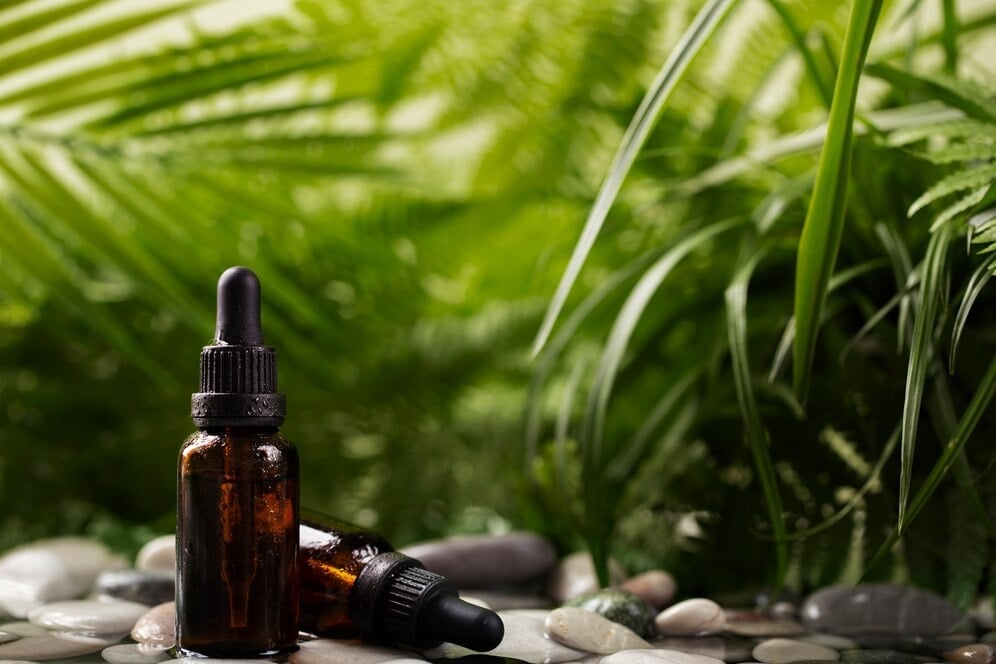 Công Dụng Của Tinh Dầu Ngọc Lan Tây