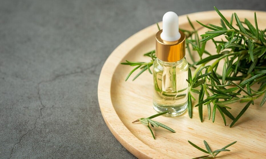 Công Dụng Của Tinh Dầu Hương Thảo