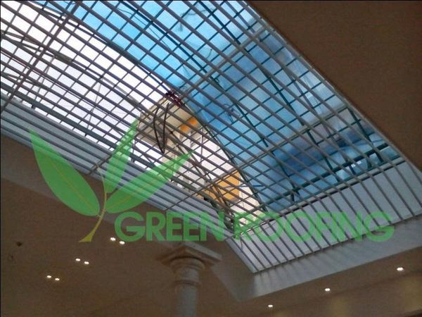 Chi Cục Hải Quan