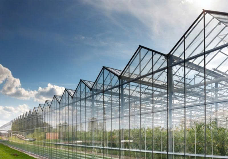 Polycarbonate trong công trình lấy sáng