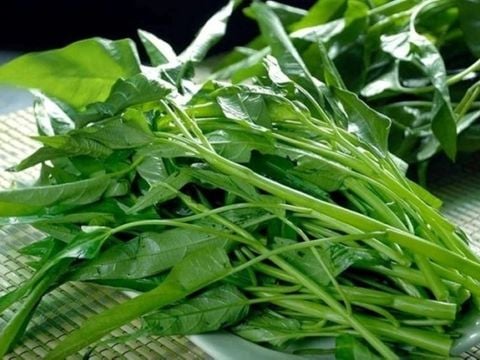 Gỏi rau muống – hương vị thân quen, nay hóa thành ký ức hiếm gặp