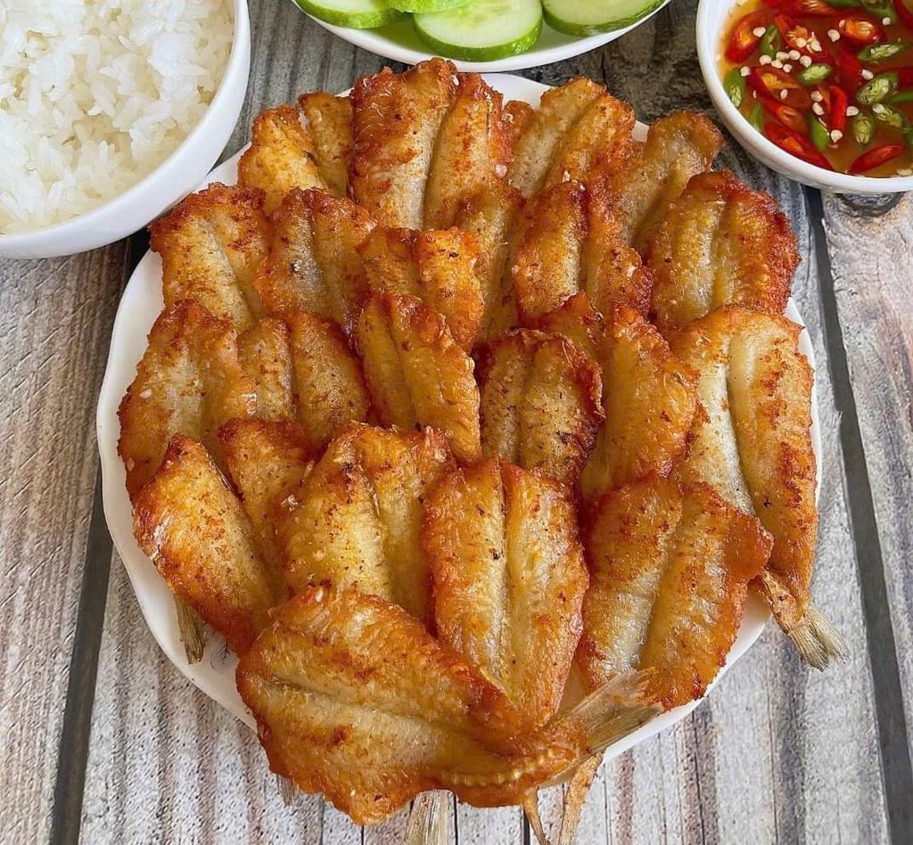 Cá Bống Đục Phile 2 Nắng