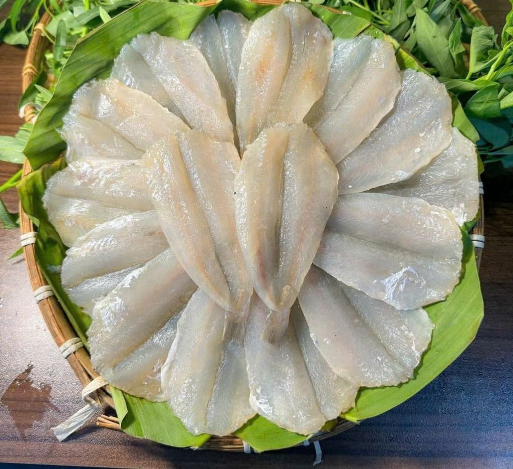 Cá Bống Đục Phile 2 Nắng