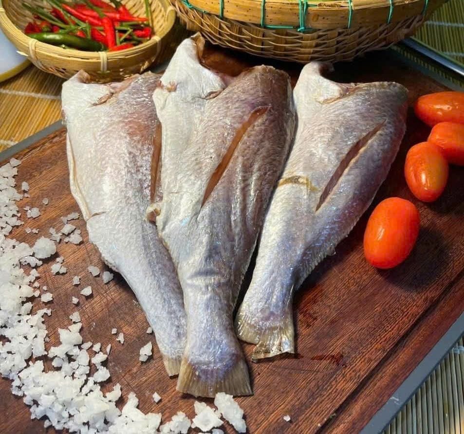 Cá Đù Sóc Nguyên Con 1 Nắng