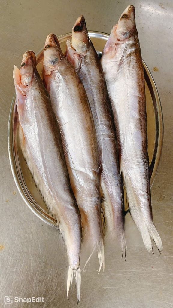 Cá kết campuchia 1 nắng