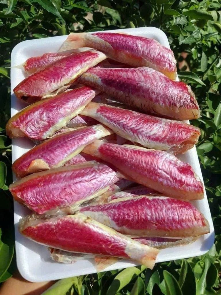 Cá Phèn Hồng 2 Nắng