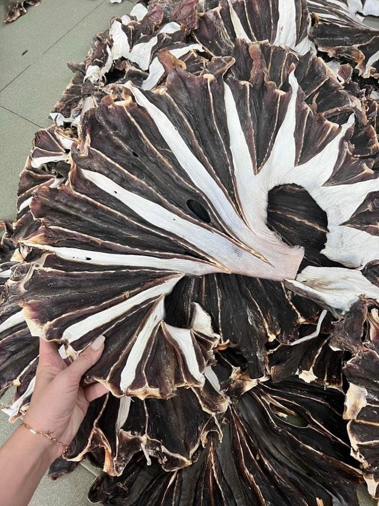 Khô cá đuối đen loại 1