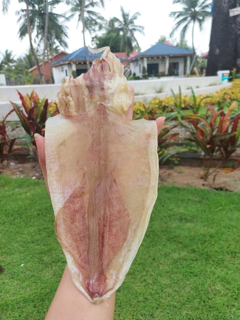 Khô mực câu size 27-30 con 1kg