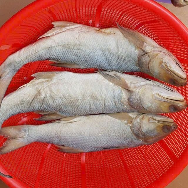 Mắm cá chét duối dùi