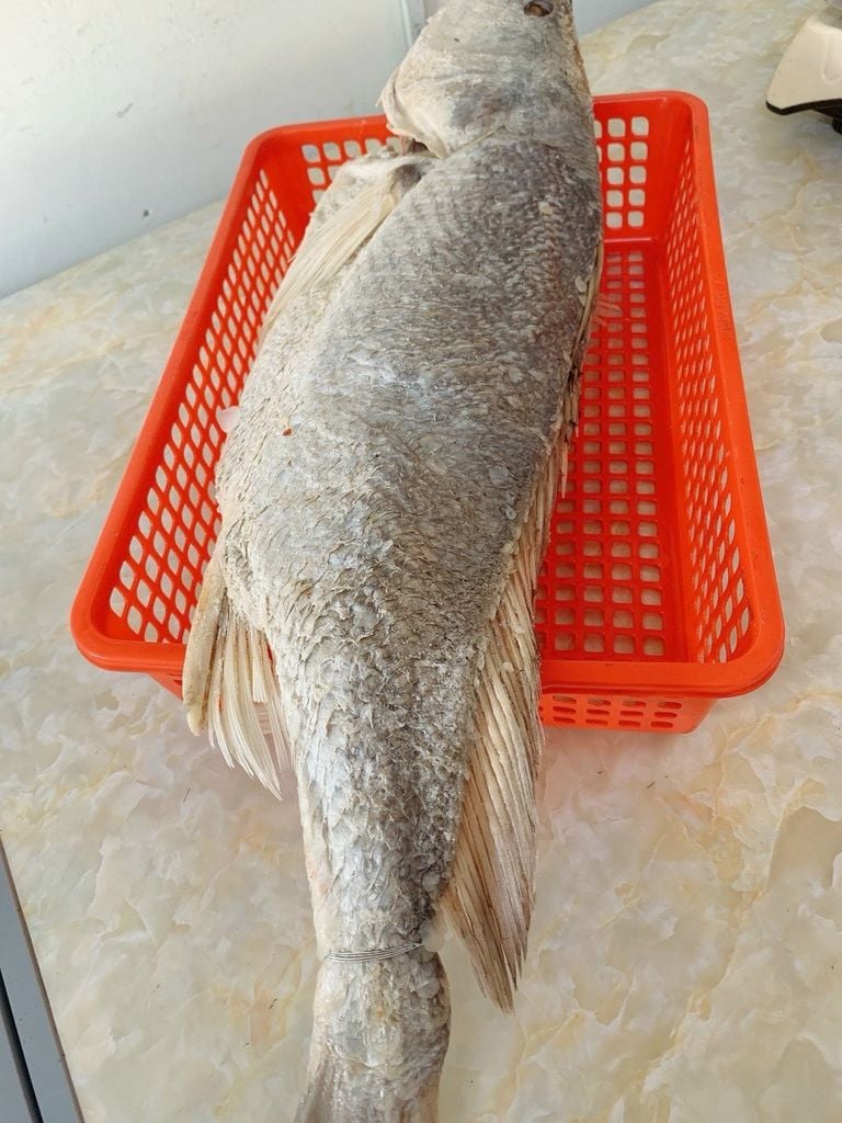 Mắm cá sửu Campuchia