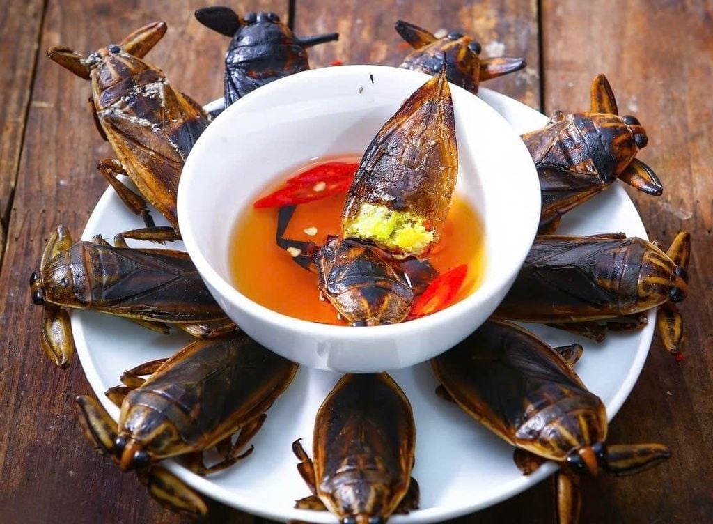 Nước mắm cà cuống